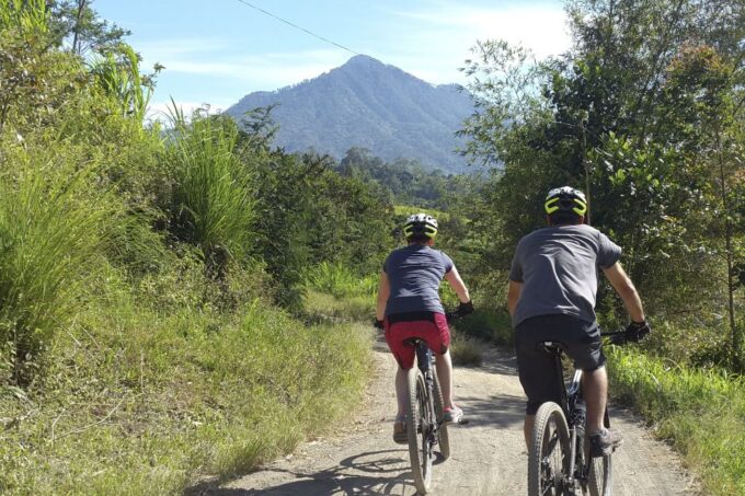 Bali: Jatiluwih Rice Terraces 1 Hour Electric Bike Tour - Booking and Availability