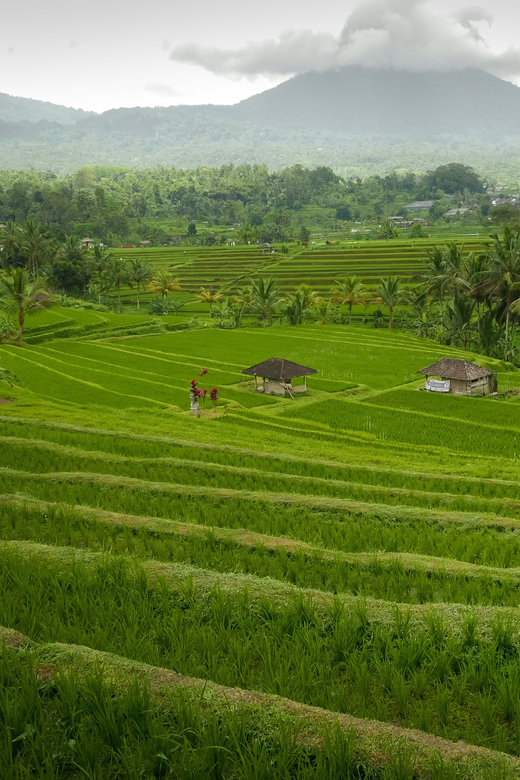 Bali : Jatiluwih Trekking With Breakfast or Lunch - Exploring the Jatiluwih Rice Terraces