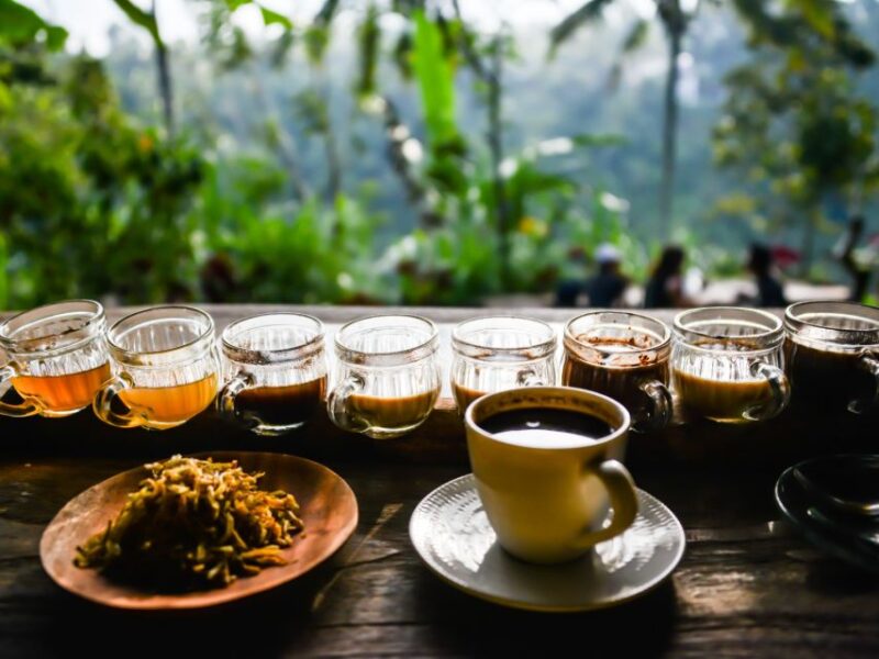 Bali: Jatiluwih UNESCO, Waterfall and Temple Private Tour - Itinerary Highlights