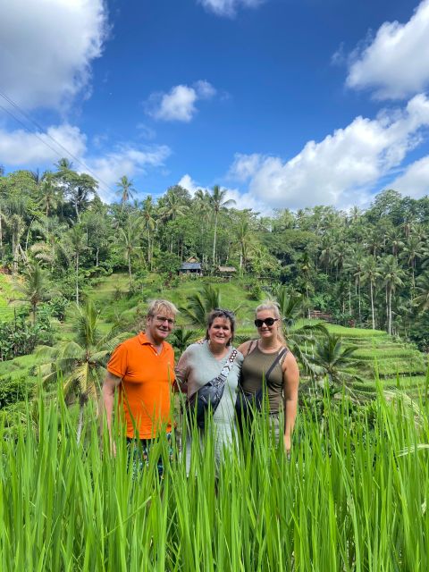 Bali Jeep Sunrise and Ubud Rice Terrace - Jeep Tour Options