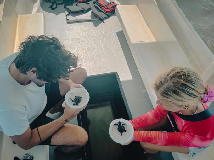 Bali: Jet Ski And Turtle Release With Watersport By Option - Turtle Conservation Visit