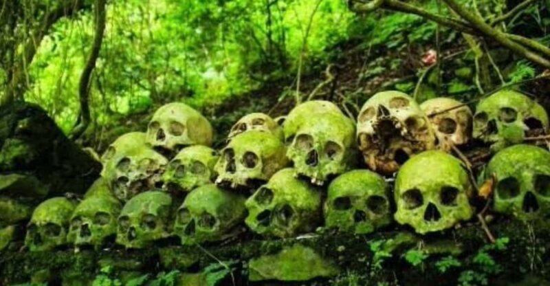 Bali Journey of The Soul: Trunyan Village Cemetery Tour - Key Points