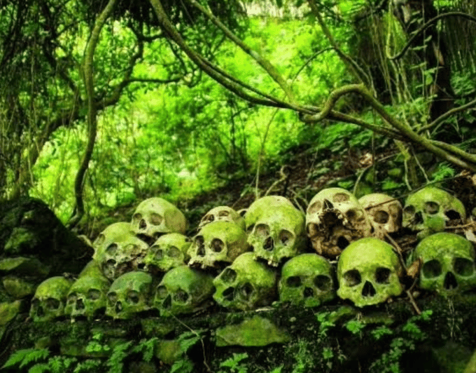 Bali Journey of The Soul: Trunyan Village Cemetery Tour - Cultural and Historical Highlights