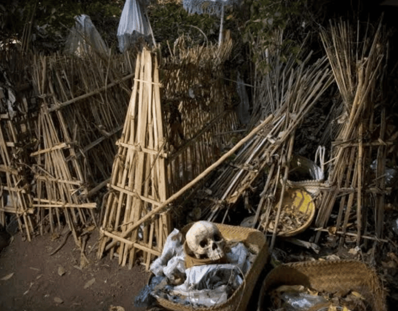 Bali Journey of The Soul: Trunyan Village Cemetery Tour - Scenic Views and Activities