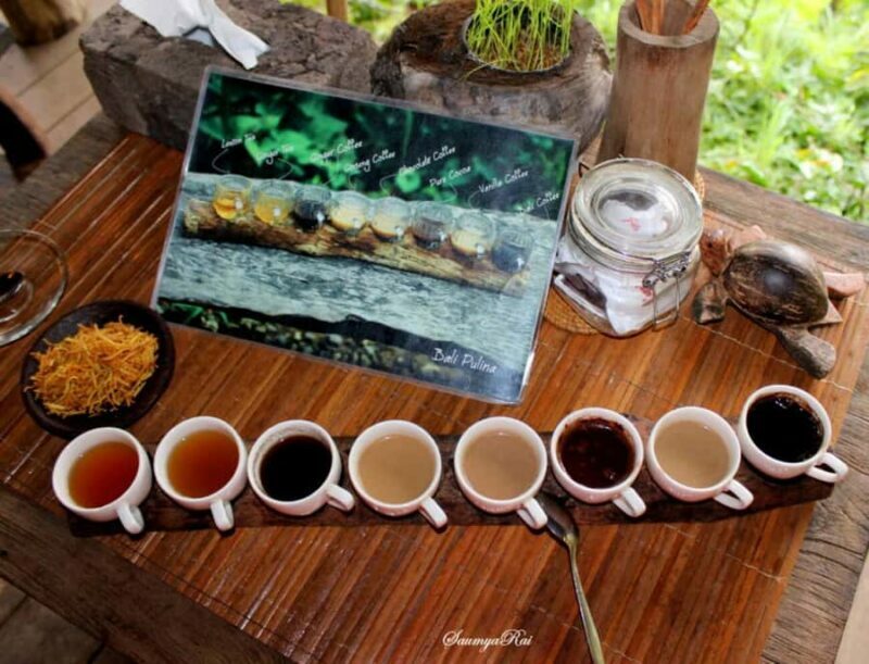Bali: Jungle ATV Ride, Coffee Plantation & Waterfall - Transportation & Group Details