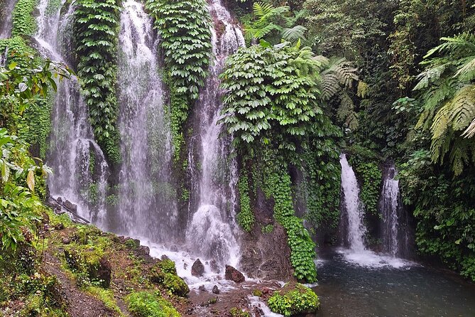 Bali Jungle Escapade: Rainforest and Waterfall Trekking - Booking and Cancellation