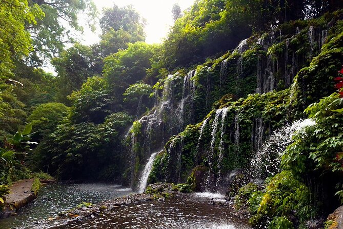 Bali Jungle Escapade: Rainforest and Waterfall Trekking - Discovering Waterfalls