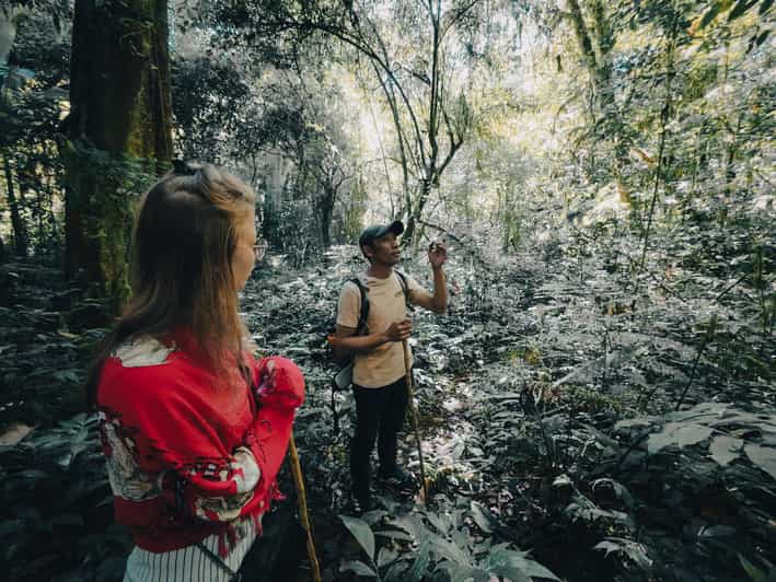 Bali: Jungle Hiking, Canoeing And Waterfall Adventure - Itinerary and Highlights