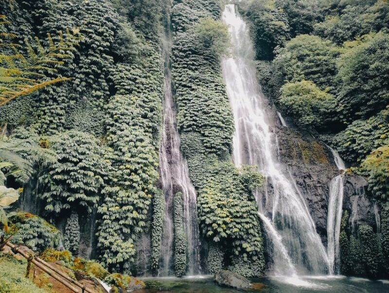 Bali: Jungle Hiking, Canoeing And Waterfall Adventure - Included and Excluded
