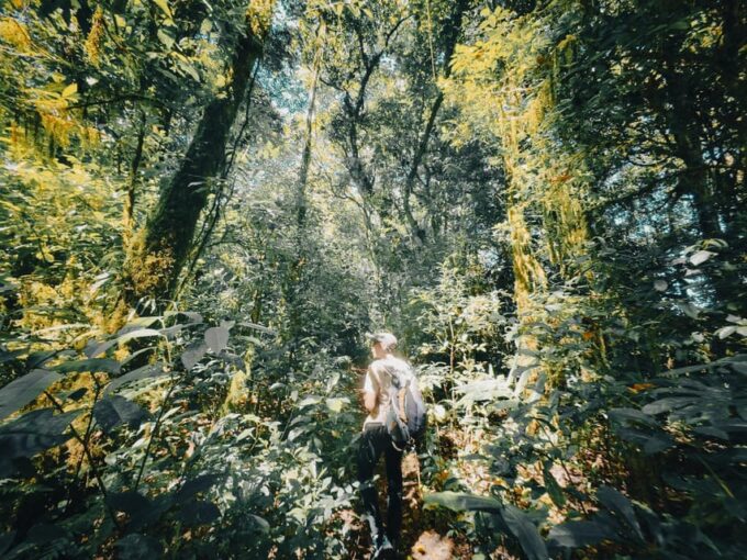 Bali: Jungle Hiking, Canoeing And Waterfall Adventure - Customer Feedback
