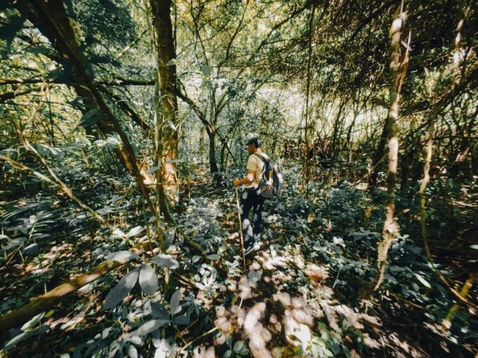 Bali: Jungle Hiking, Canoeing And Waterfall Adventure - Booking and Cancellation