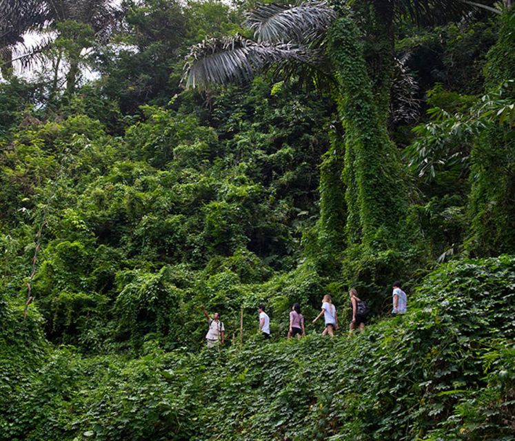 Bali: Jungle Trek and River Rafting With Lunch - Experience Highlights