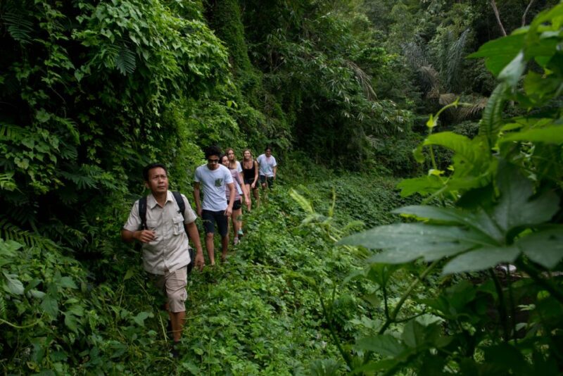 Bali: Jungle Trek and River Rafting With Lunch - Lunch and Chocolate Factory