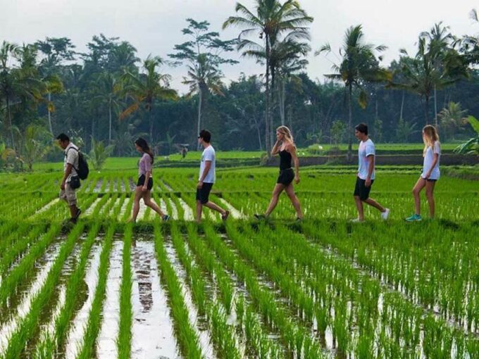 Bali: Jungle Trek and River Rafting With Lunch - Customer Reviews