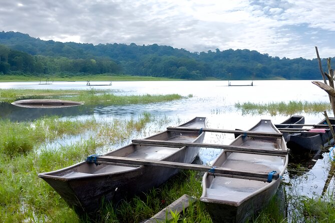 Bali Jungle Trekking in Beautiful Rainforest - Buyan Lake - Balis Twin Lake