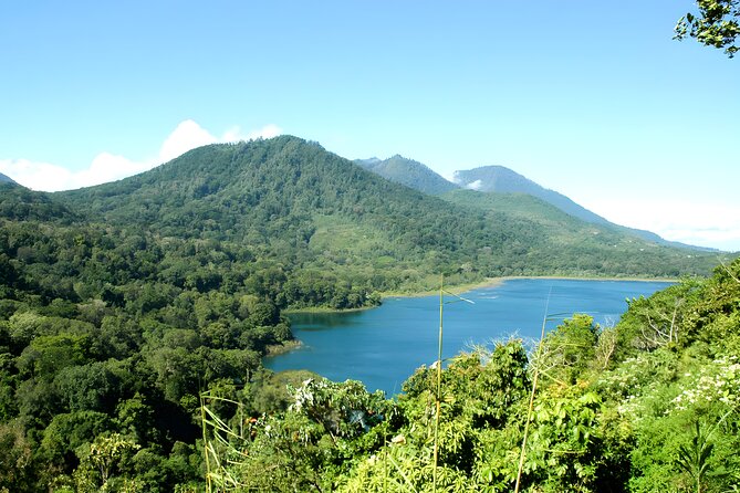 Bali Jungle Trekking With Lunch and Return Hotel Transfer - Pickup and Dropoff