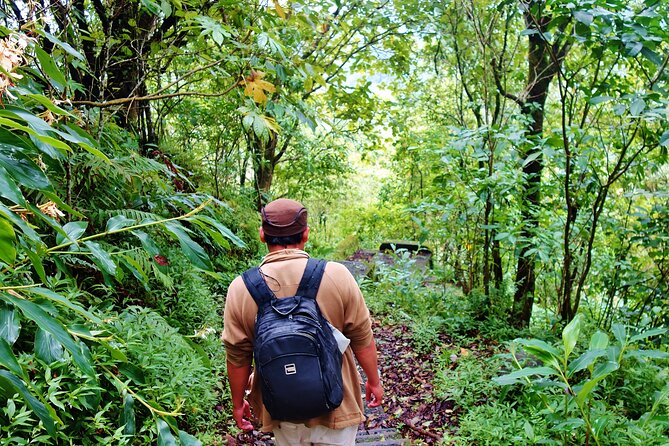 Bali Jungle Trekking With Lunch and Return Hotel Transfer - Highlights of the Tour