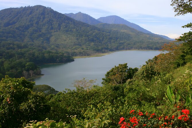 Bali Jungle Trekking With Lunch and Return Hotel Transfer - Sum Up