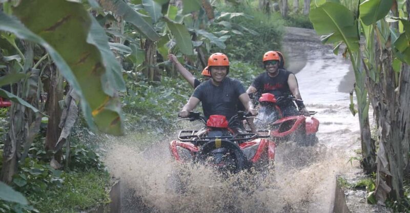 Bali: Jungle, Waterfalls, and Caves ATV Quad Bike Experience - Key Points