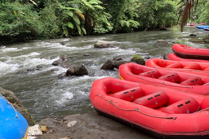 Bali Jungle White Water Rafting Adventure - Practical Information