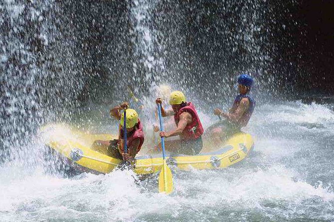 Bali Jungle White Water Rafting Adventure - Guest Feedback and Recommendations
