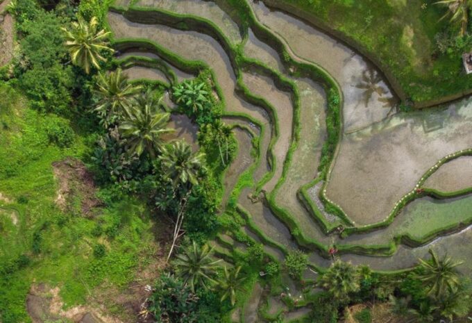 Bali: Kanto Lampo Waterfall, Swing & Monkey Forest Day-Trip - Cancellation and Refund Policy