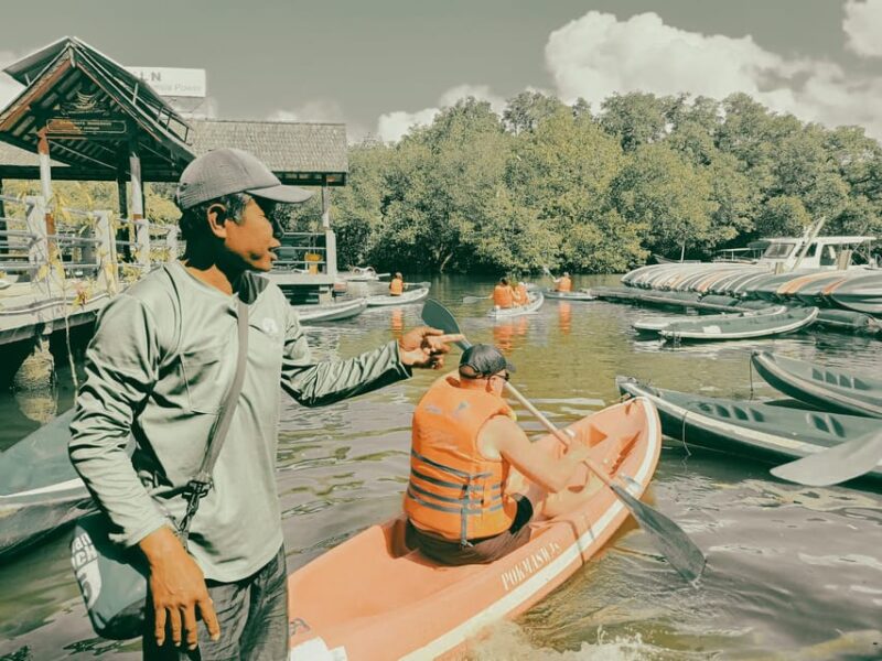 Bali: Kayaking With Mangrove Preserving and Turtle Release - Key Points