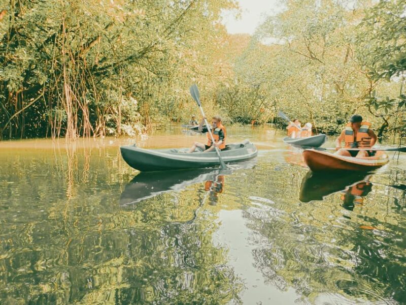 Bali: Kayaking With Mangrove Preserving and Turtle Release - Mangrove Preservation Education