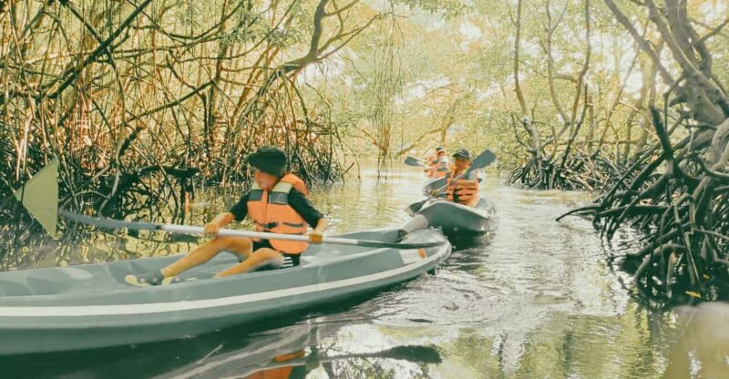 Bali: Kayaking With Mangrove Preserving and Turtle Release - Turtle Release Experience