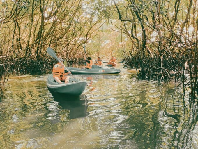 Bali: Kayaking With Mangrove Preserving and Turtle Release - Participant Information
