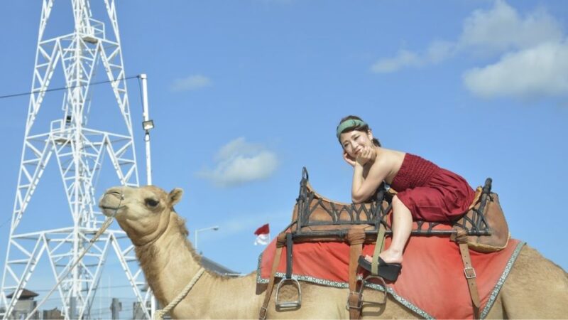 Bali: Kelan Beach Camel Rides Experiences - Key Points