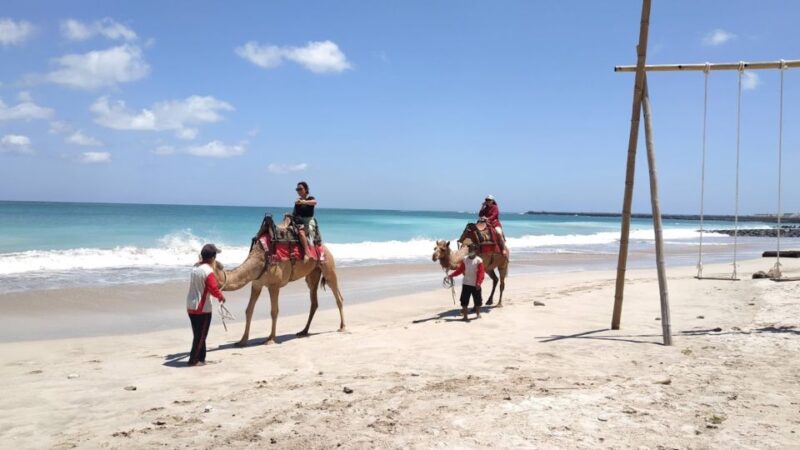 Bali: Kelan Beach Camel Rides Experiences - Highlights and Attractions