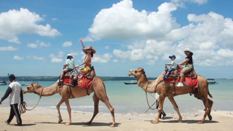 Bali: Kelan Beach Camel Rides Experiences - Inclusions and Amenities