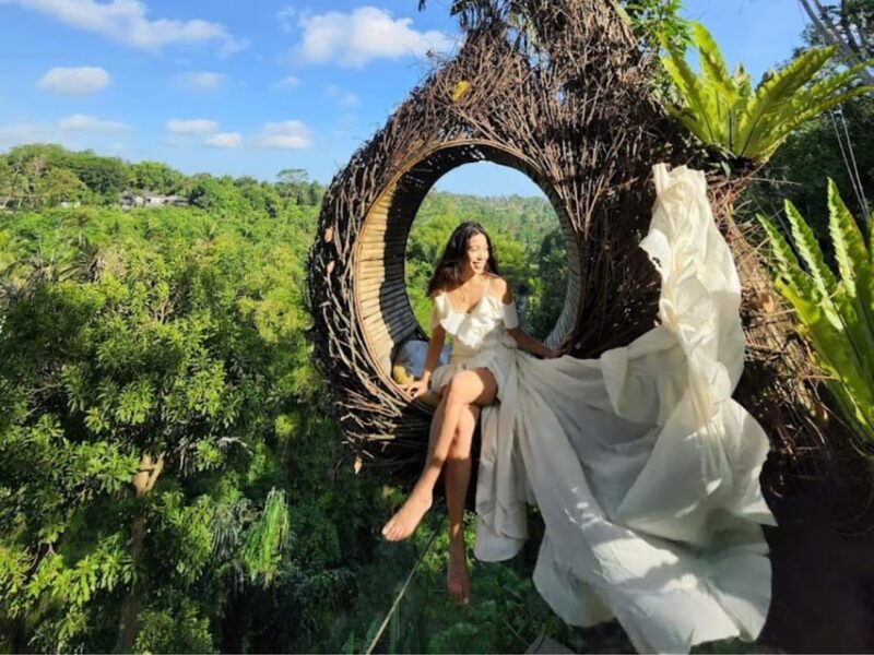 Bali: Kintamani Highlight. Hot Spring, Waterfall and Swing. - Inclusions and Exclusions