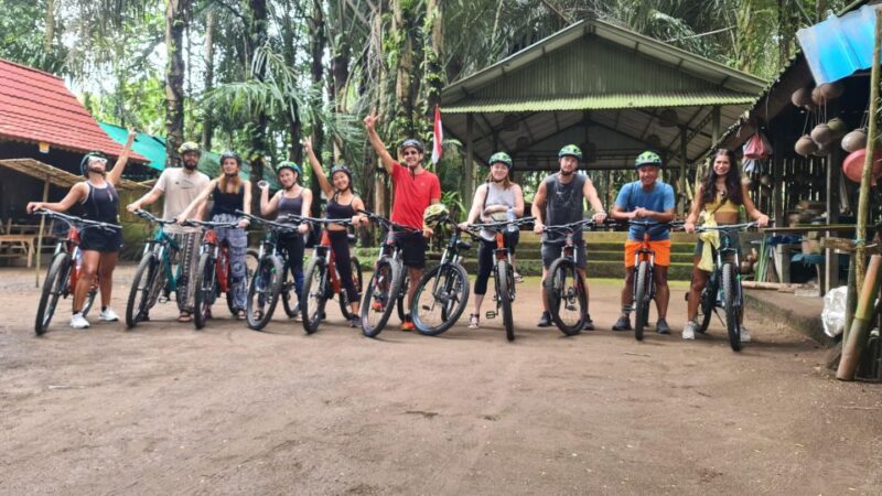 Bali: Kintamani Private Downhill Bike Tour & Rice Fields - Key Points