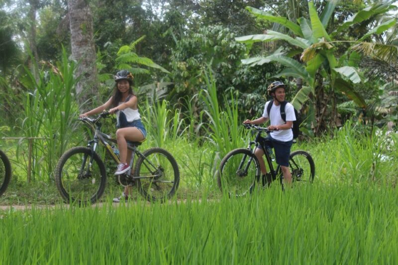 Bali: Kintamani Private Downhill Bike Tour & Rice Fields - Included Amenities