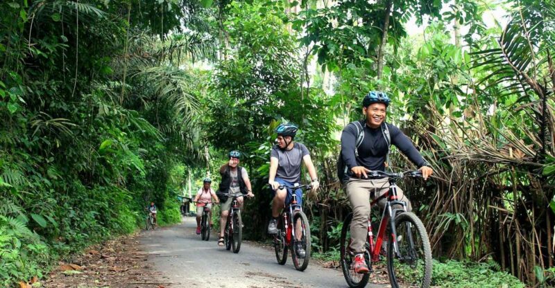 Bali: Kintamani Private Downhill Bike Tour & Rice Fields - Group Size and Guides