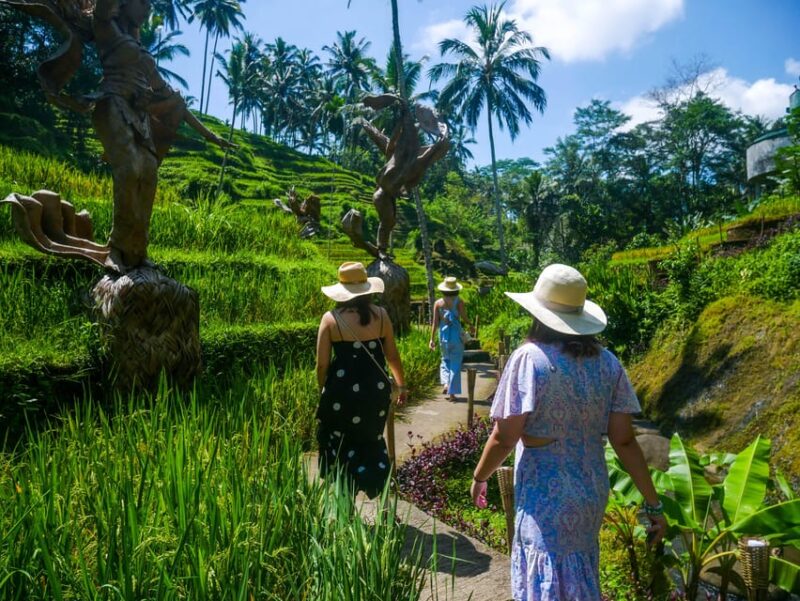 Bali: Kintamani, Tegalalang and Coffee Plantation Tour - Key Points