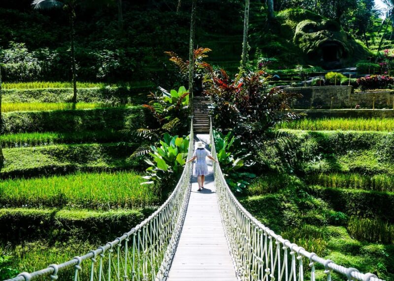 Bali: Kintamani, Tegalalang and Coffee Plantation Tour - Transportation and Logistics