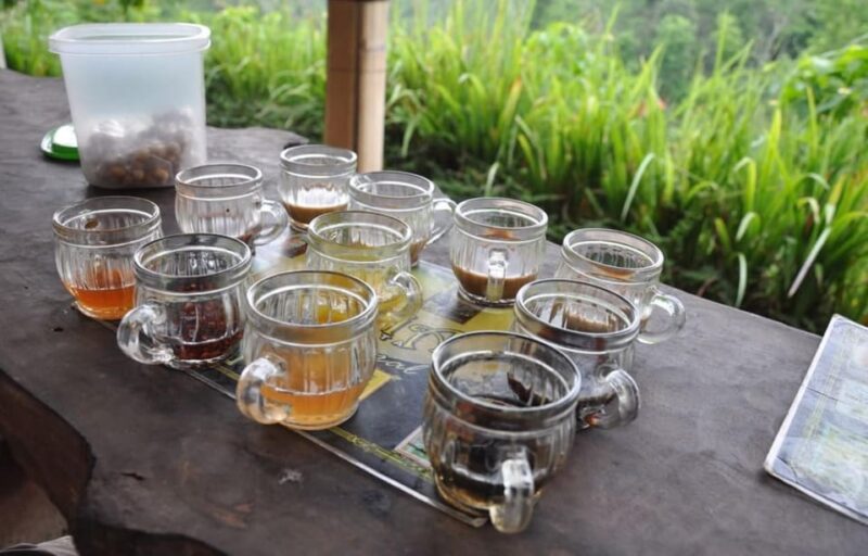 Bali: Kintamani Village, Rice Terraces, and Coffee Tour - Pickup Locations
