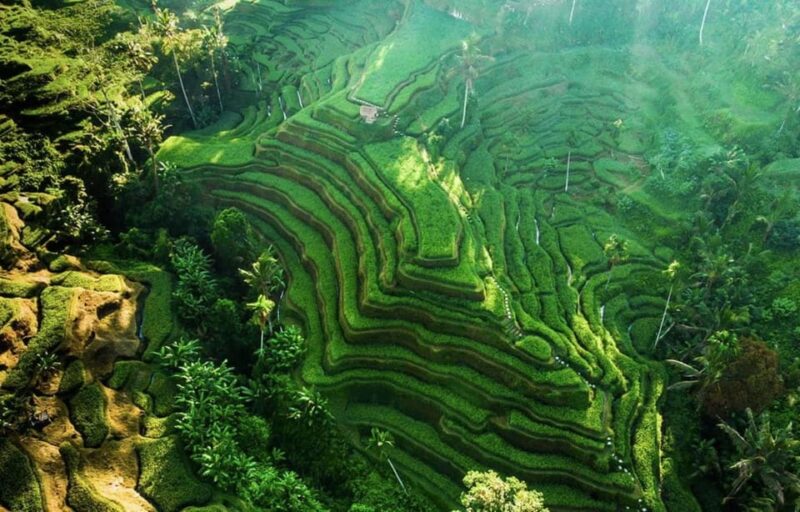 Bali: Kintamani Village, Rice Terraces, and Coffee Tour - Tour Duration