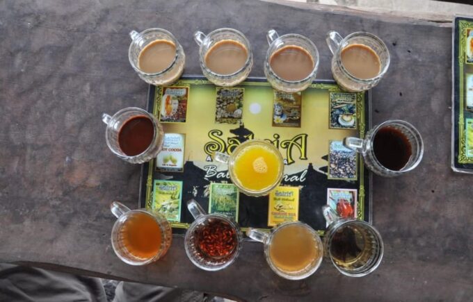 Bali: Kintamani Village, Rice Terraces, and Coffee Tour - Pricing and Cancellation