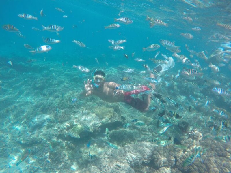 Bali: Labuan Amuk Snorkeling With Lunchbox - Snorkeling Highlights