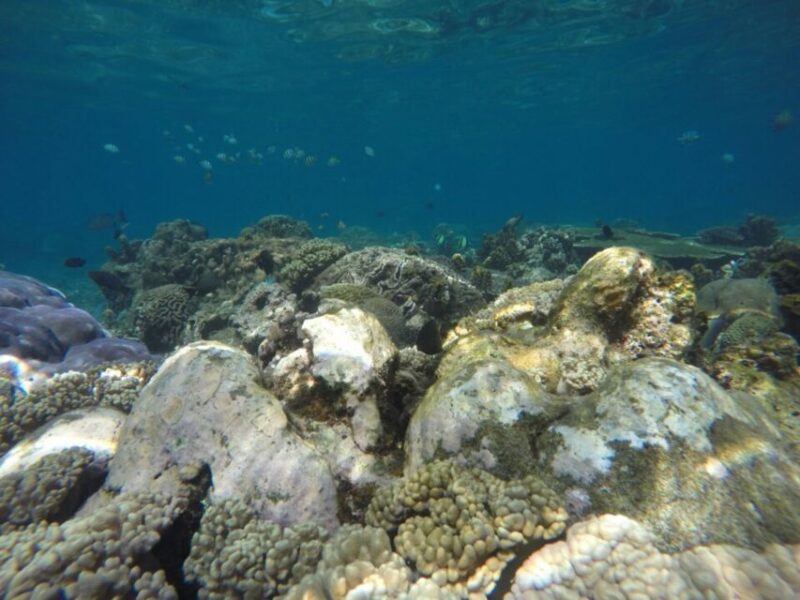 Bali: Labuan Amuk Snorkeling With Lunchbox - Included Amenities