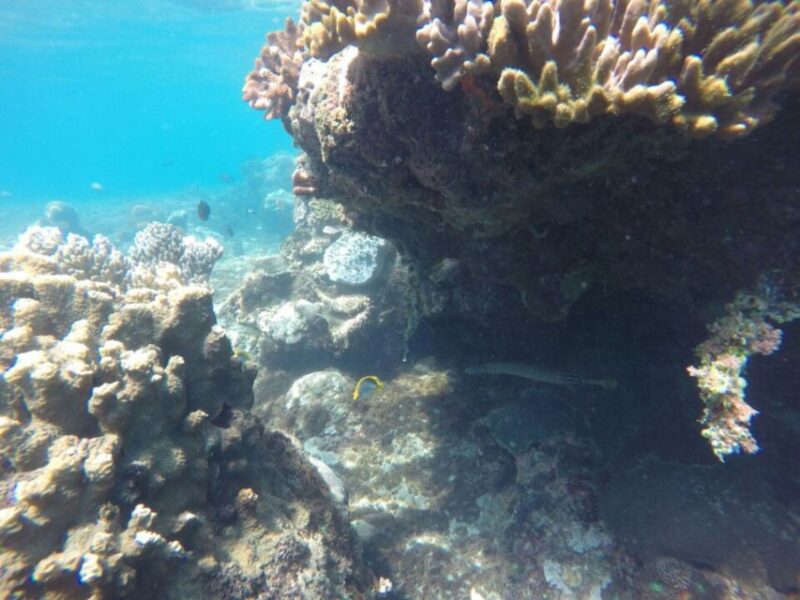 Bali: Labuan Amuk Snorkeling With Lunchbox - Frequently Asked Questions