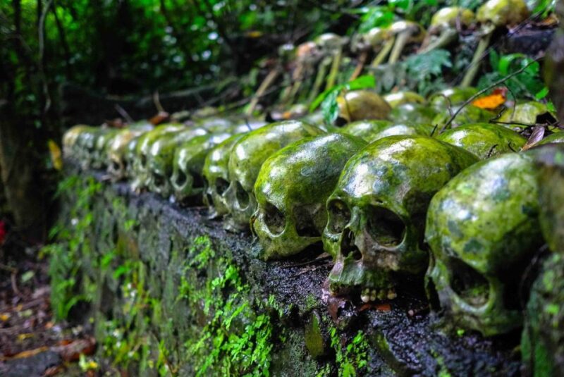 Bali: Lake Batur & Trunyan Village Boat Tour With Transfer - Tour Details