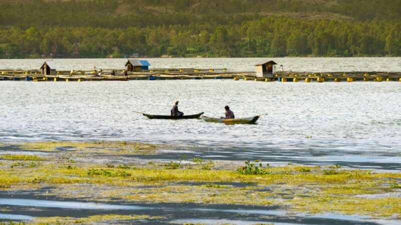 Bali: Lake Batur & Trunyan Village Boat Tour With Transfer - Booking Information