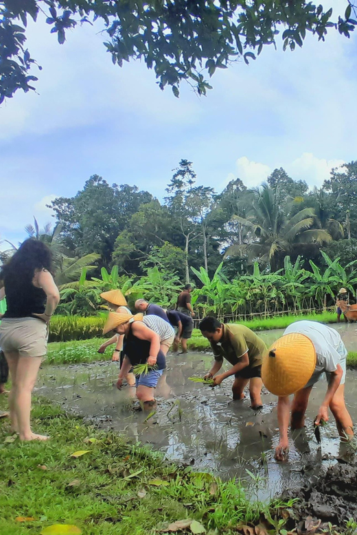 Bali: Legung Luwih Tabanan Village Activities - Key Points