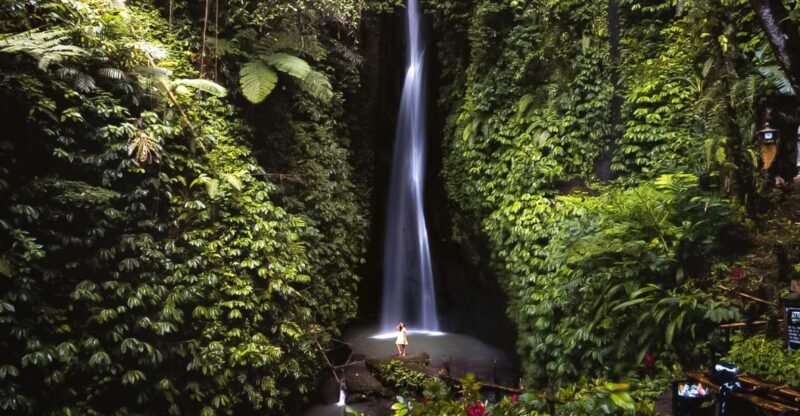Bali: Leke-Leke Waterfall, Monkey Forest & Jungle Swing Tour - Key Points