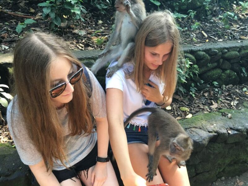 Bali: Leke-Leke Waterfall, Monkey Forest & Jungle Swing Tour - Itinerary and Experience Highlights